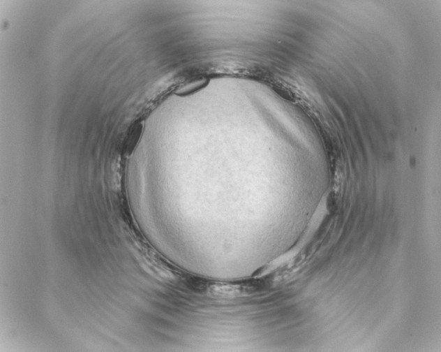 X0000088180413200706051146