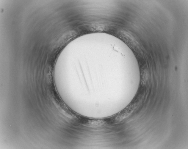 X0000088180414200706051146