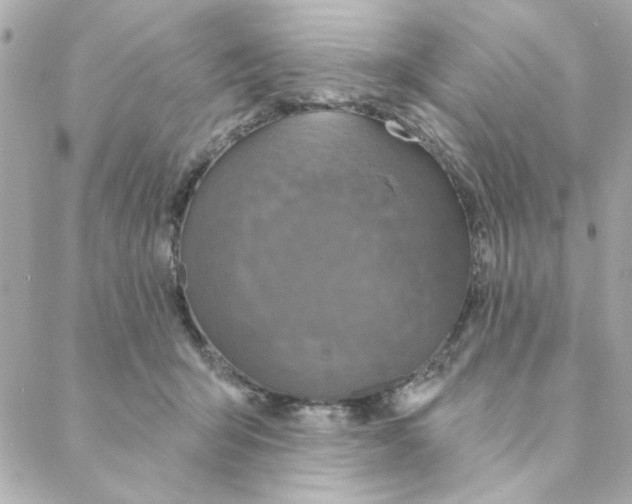 X0000088180415200706051146