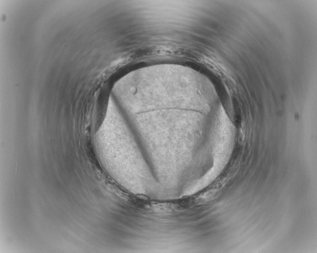 X0000088180417200706051146