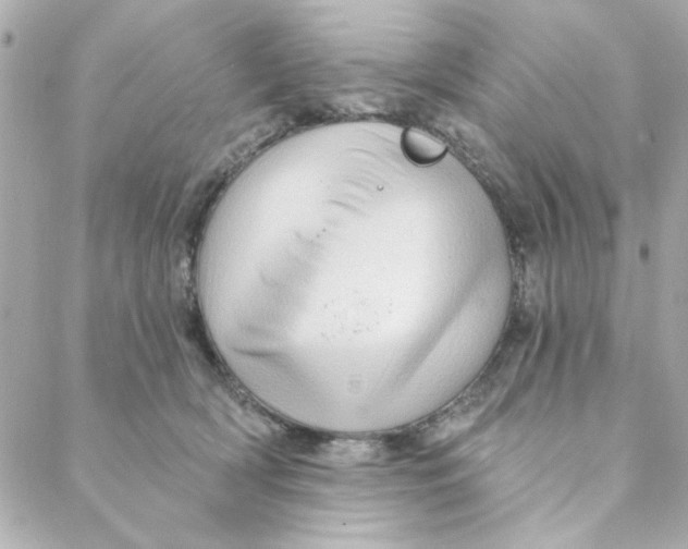 X0000088180418200706051146