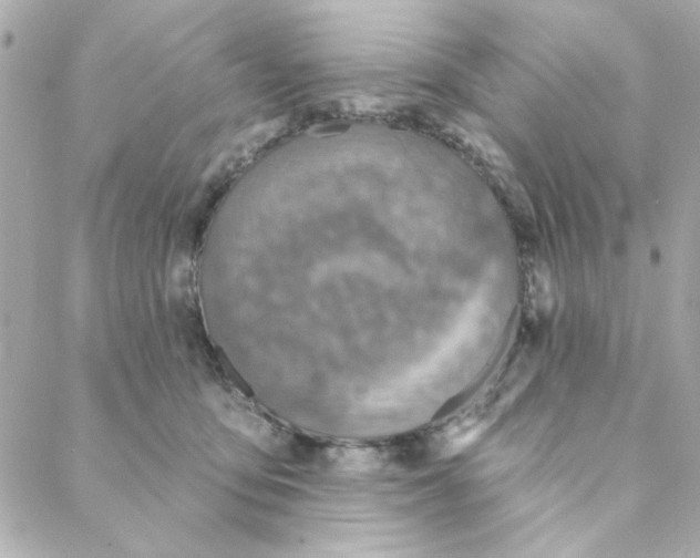 X0000088180419200706051146