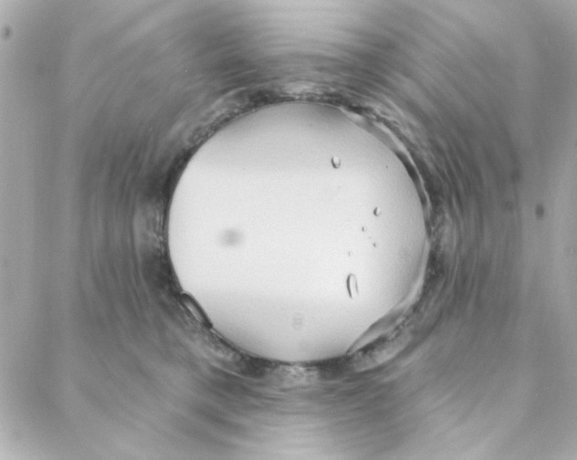 X0000088180421200706051146