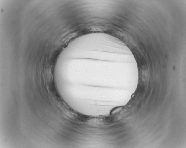 X0000088180422200706051146