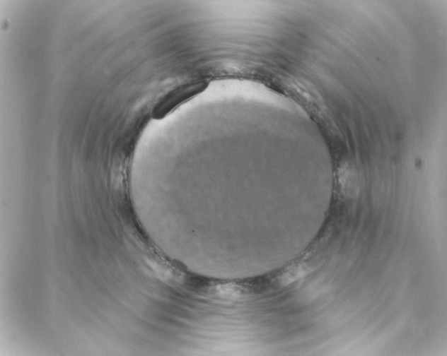 X0000088180423200706051146