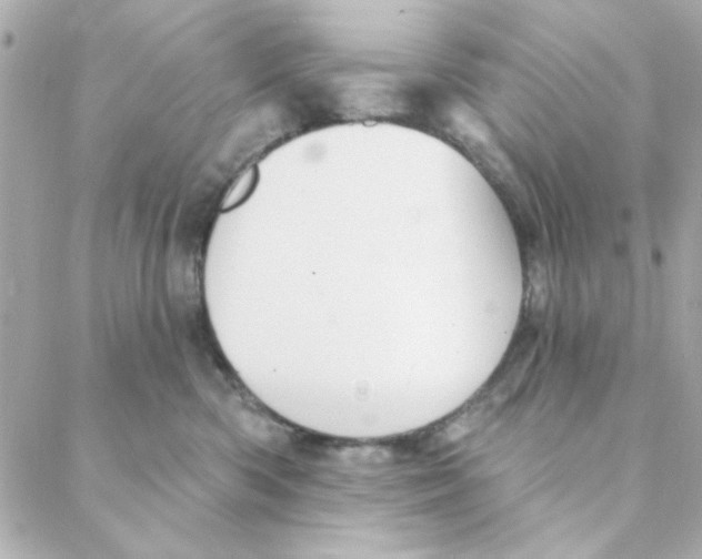 X0000088180426200706051146