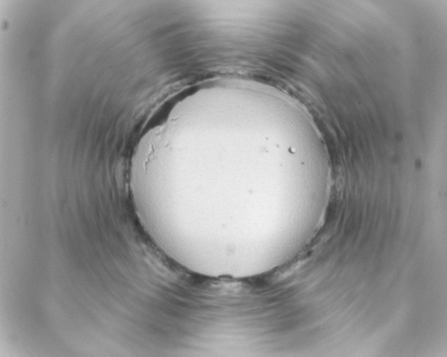 X0000088180428200706051146