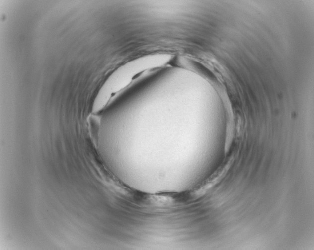 X0000088180429200706051146