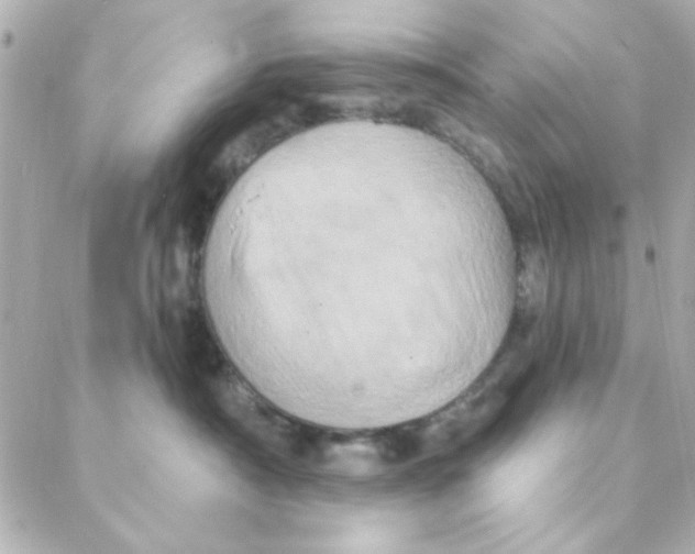 X0000088180430200706051146