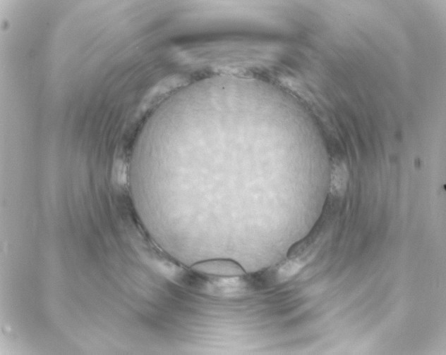 X0000088180431200706051146