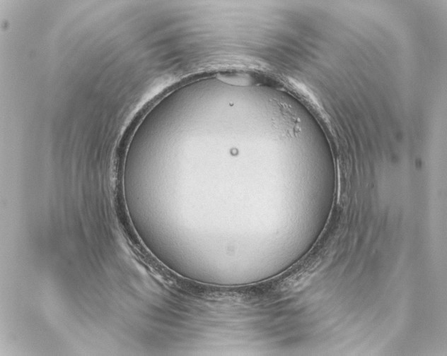 X0000088180435200706051145