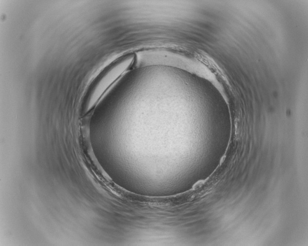 X0000088180436200706051145