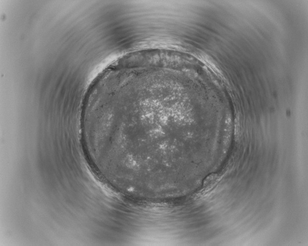 X0000088180438200706051145