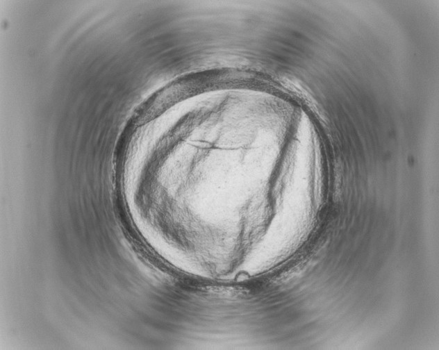 X0000088180439200706051145