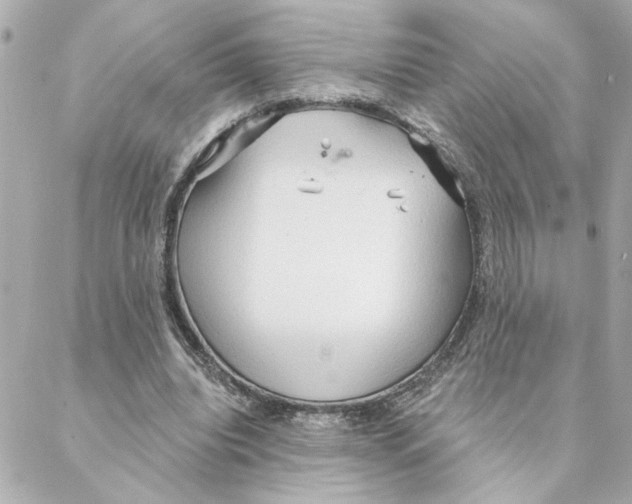 X0000088180440200706051145