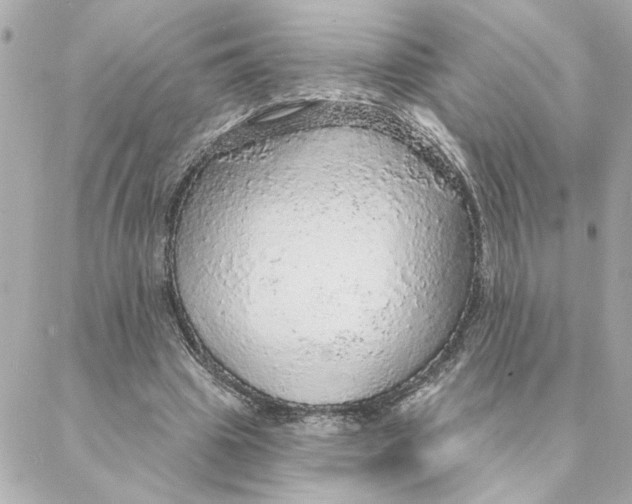 X0000088180441200706051145