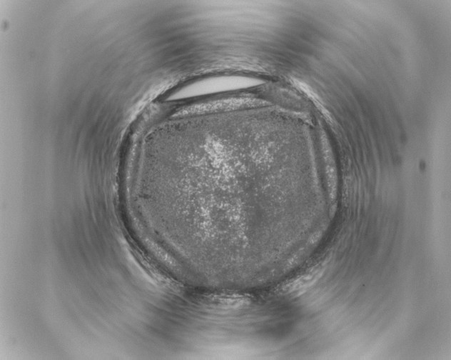 X0000088180443200706051146