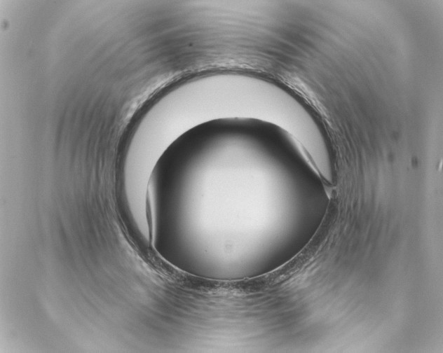 X0000088180444200706051146