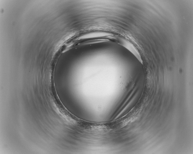 X0000088180446200706051146