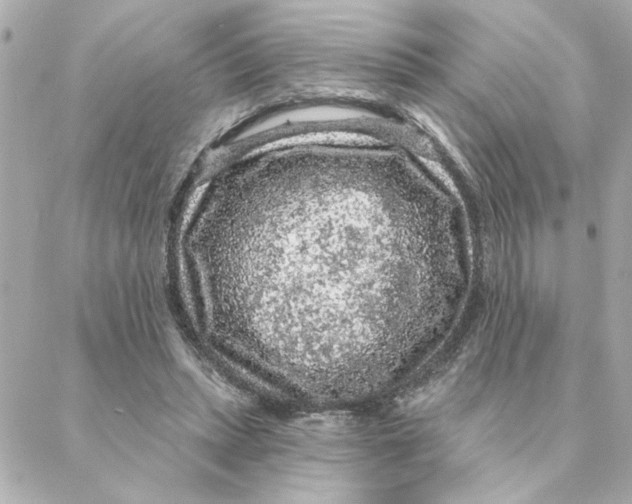 X0000088180447200706051146