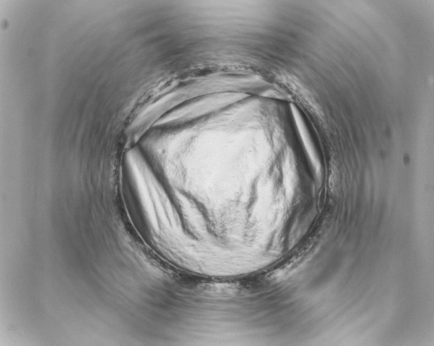 X0000088180449200706051146