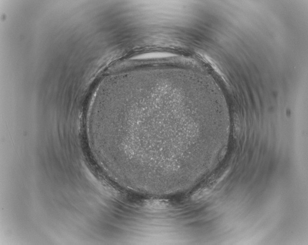 X0000088180451200706051146