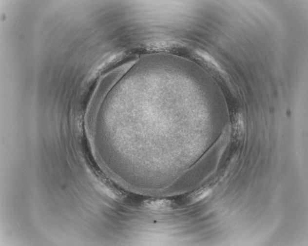 X0000088180452200706051146