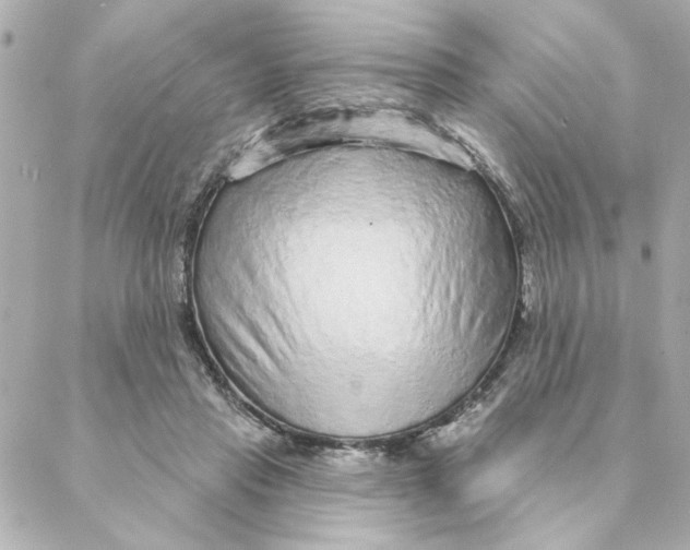 X0000088180453200706051146