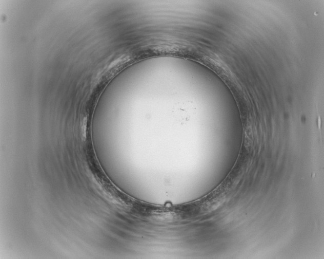 X0000088180454200706051146