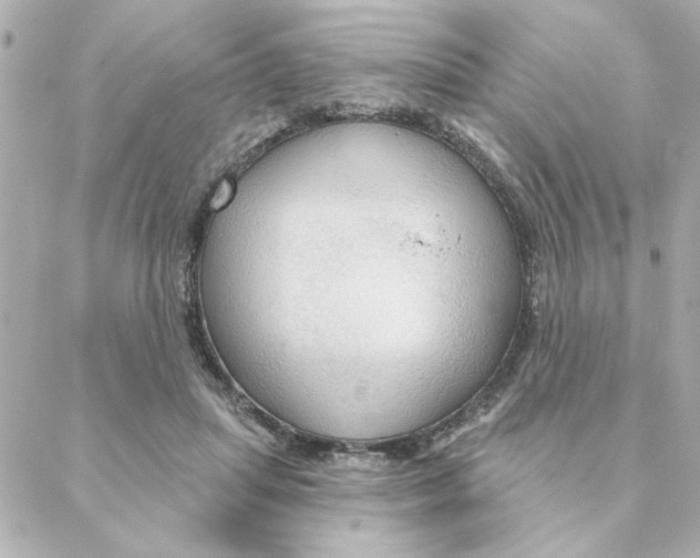 X0000088180455200706051146