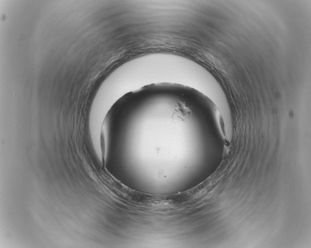 X0000088180456200706051146