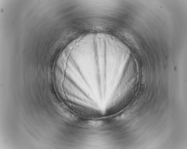 X0000088180457200706051146