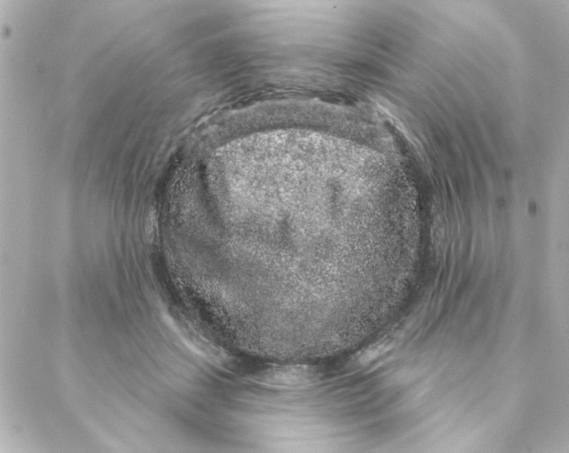 X0000088180459200706051146