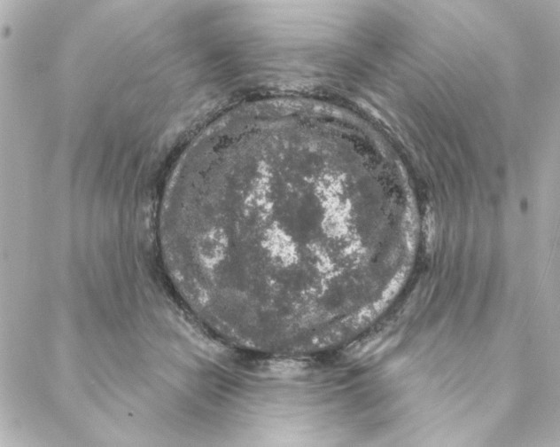 X0000088180462200706051146