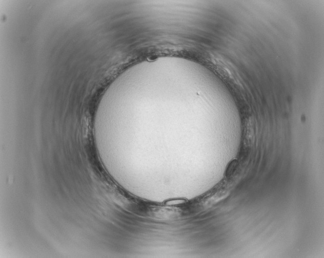 X0000088180463200706051146