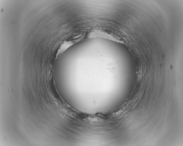 X0000088180464200706051146