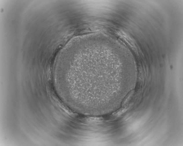 X0000088180465200706051146