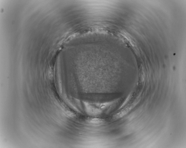 X0000088180467200706051146