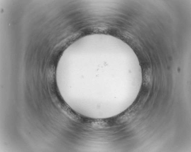 X0000088180468200706051146