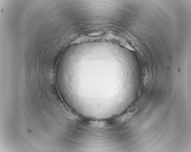 X0000088180469200706051146