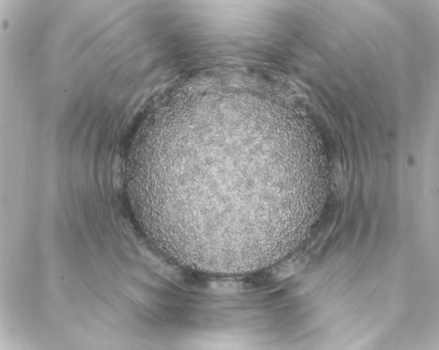 X0000088180470200706051146