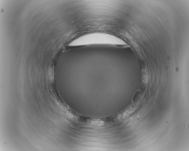 X0000088180471200706051146