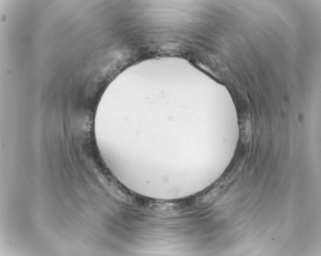 X0000088180472200706051146