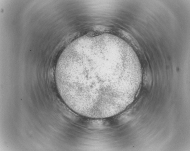 X0000088180473200706051146