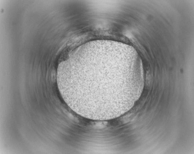 X0000088180474200706051146