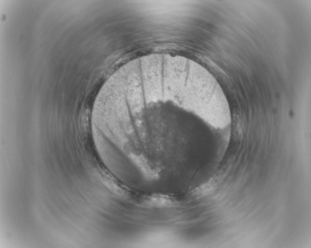 X0000088180475200706051146