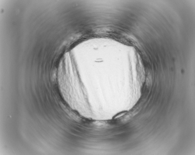 X0000088180477200706051146