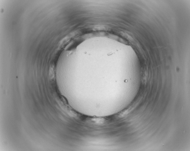 X0000088180478200706051146