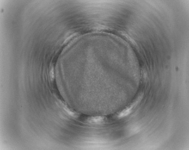 X0000088180479200706051146