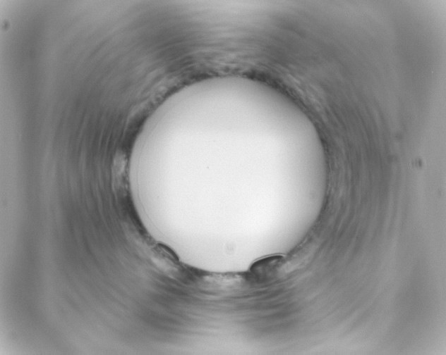 X0000088180480200706051146